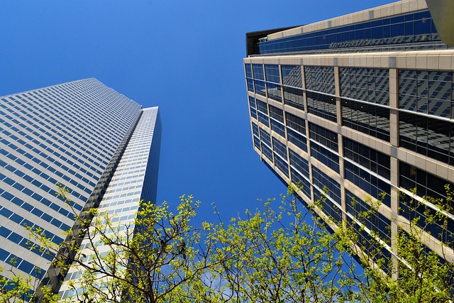 city-3779049_640.jpg